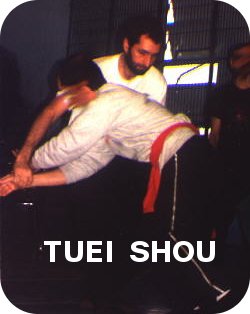 Tuei Shou